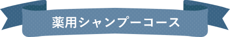 薬用シャンプーコース