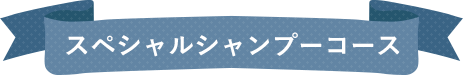 スペシャルシャンプーコース